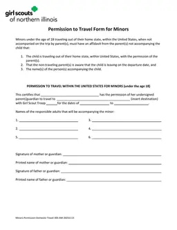 Domestic Travel Declaration for Minors form preview