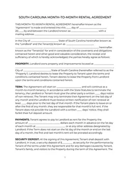 South Carolina Month-to-Month Rental Agreement Overview form preview
