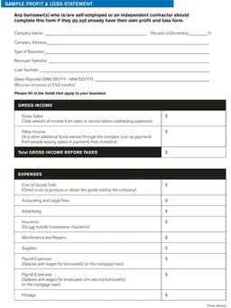Profit & Loss (P&L) Statement – Financial Performance Report form preview