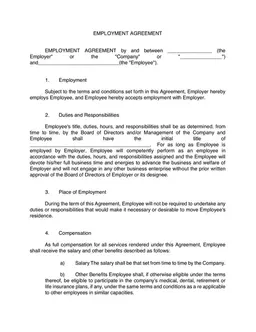 Employment Agreement - Binding Terms and Conditions for Employee and Employer form preview